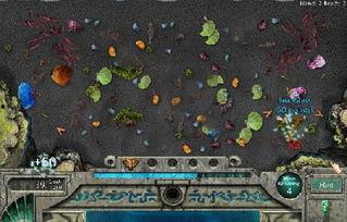 失落岛之鲨,探寻神秘海洋深处的神秘生物