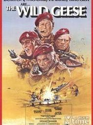 野鹅敢死队,勇闯险境的传奇特工