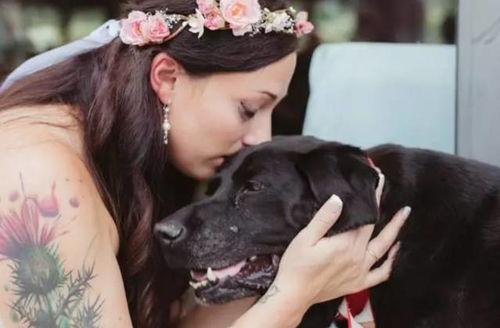 夫妻吵架狗都不理，而查理笑了,查理却笑得开心