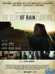 雨和闪电的气息